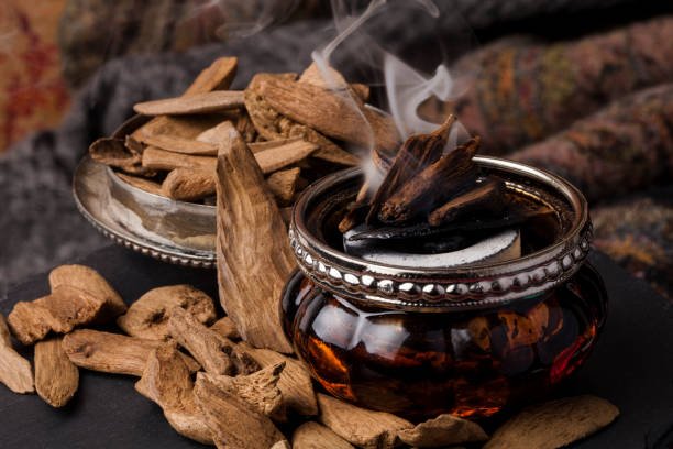 Premium plantation agarwood bakhoor chips smouldering on charcoal in close-up, showing visible resin striations and rising smoke