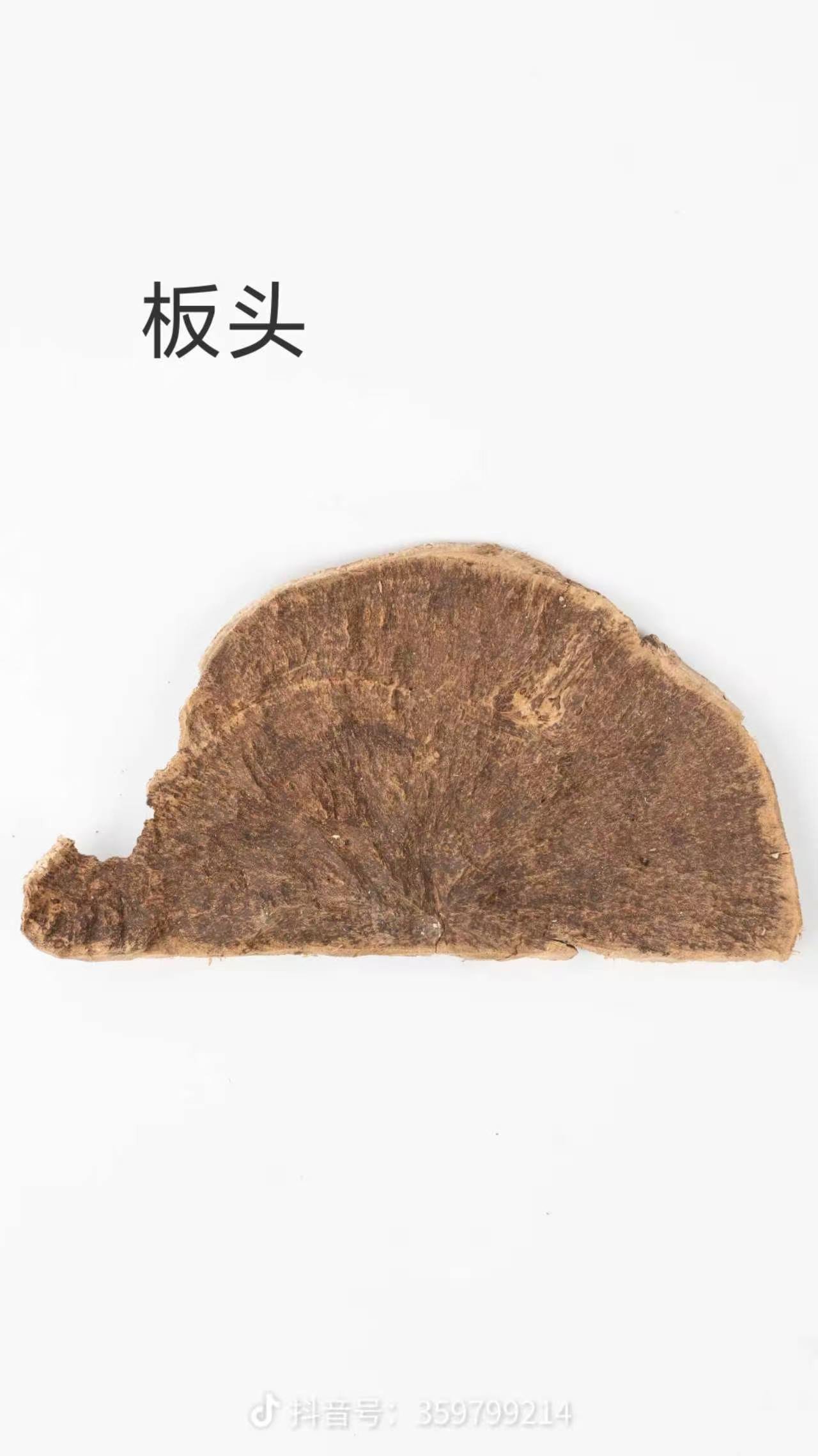 板头 Slab Head wild agarwood, fan-shaped cross-section showing dense resin striations, sourced for bakhoor chips and collector display pieces