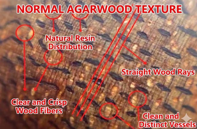 Genuine agarwood bead — natural dark resin veins visible under macro lens