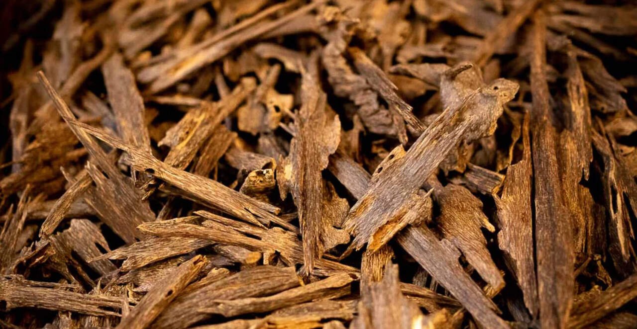 agarwood chips wholesale supply — premium grade oud wood chips direct from plantation, competitive agarwood price per kg