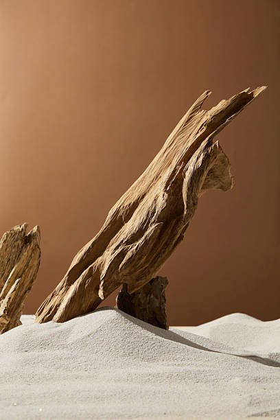 Sculptures en Bois d'Agar