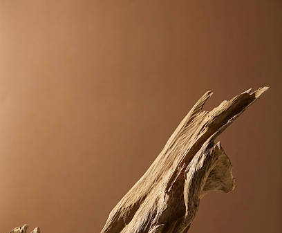 منحوتة عود تمثالية — تماثيل عود زراعي منحوتة يدويًا — بوذا، Guanyin وأشكال طبيعية. من 398$/قطعة., image 4