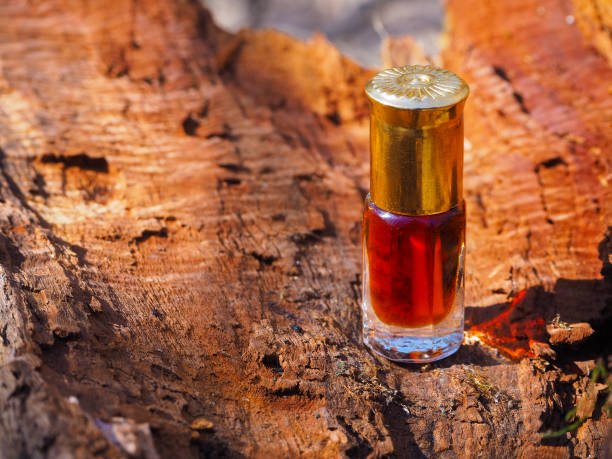 Pure oud essential oil demonstration for metaphysical wellness buyers — agarwood essential oil for meditation supply and contemplative-wellness brands.