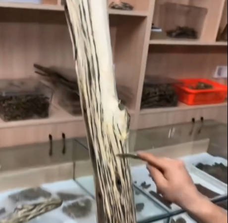 Agarwood Logs — wholesale agarwood product image 4
