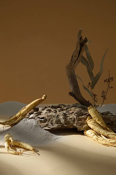 Sculptures en Bois d'Agar