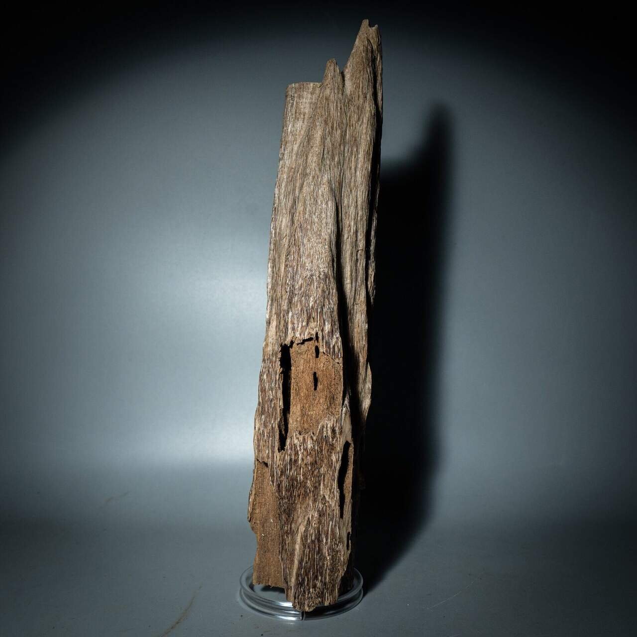 Sculptures en Bois d'Agar