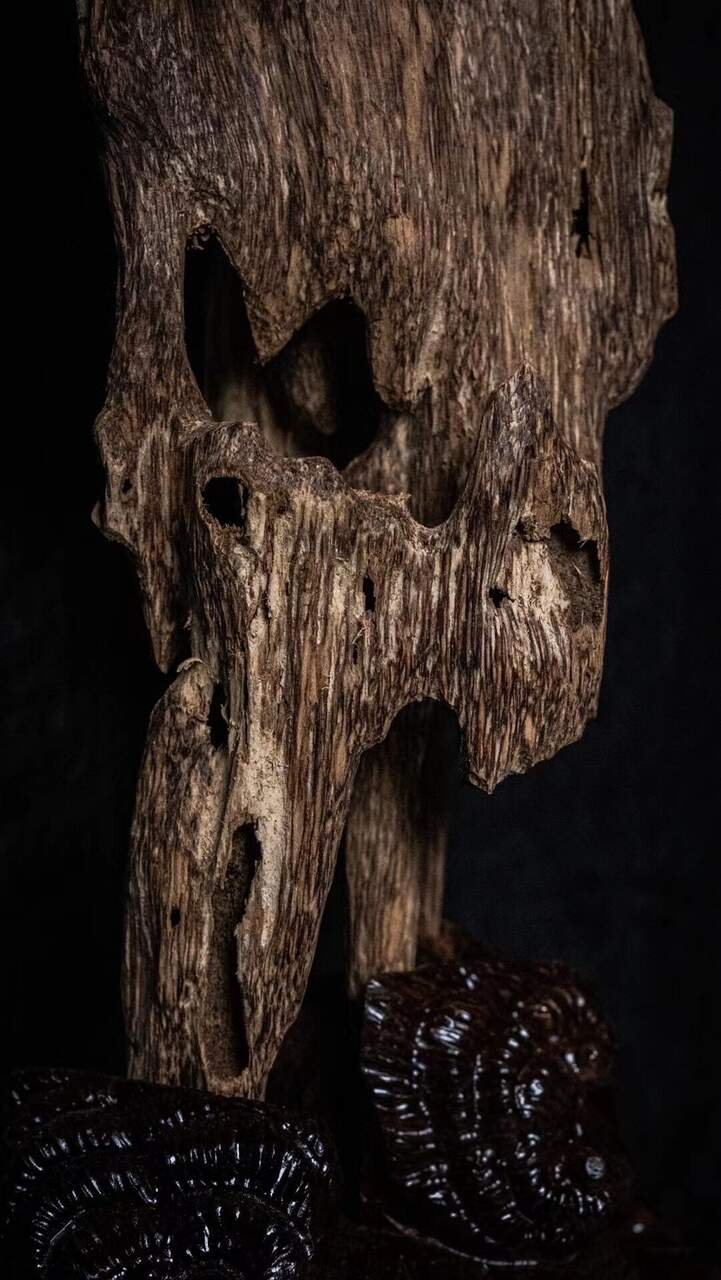 अरबी ओड नक्काशी — उच्च रेजिन सामग्री वाली अरबी ओड लकड़ी नक्काशी — मध्य पूर्वी विलासिता स्थानों के लिए प्रीमियम सजावटी कला।, image 4