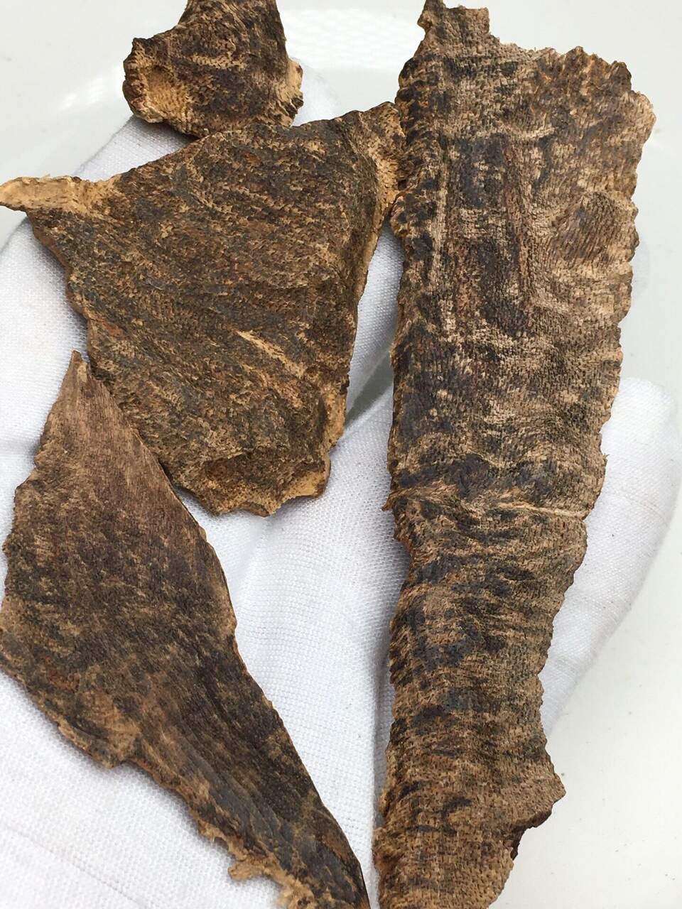 Bakhoor Oudh Incense — Spa / wellness variant — supplied in case uae-bakhoor-hospitality