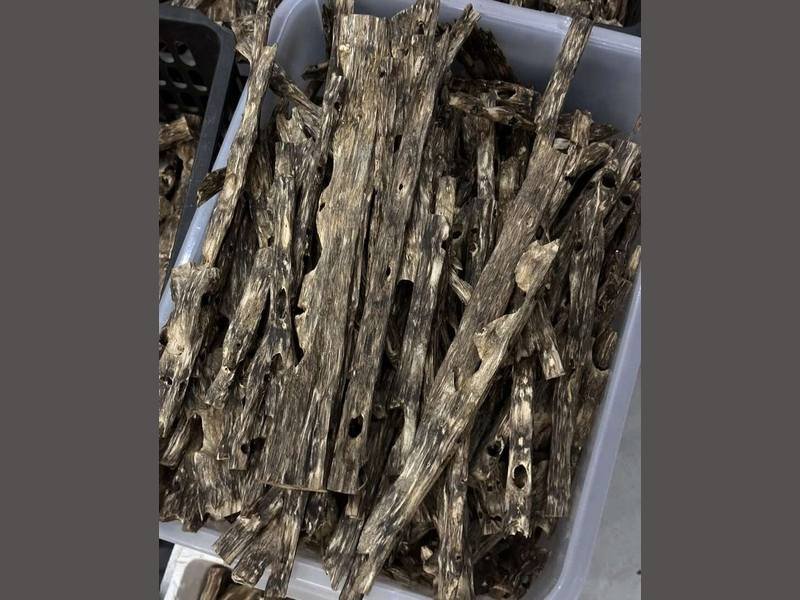 Chen xiang chips, the everyday form of agarwood in Chinese incense culture and in wholesale trade