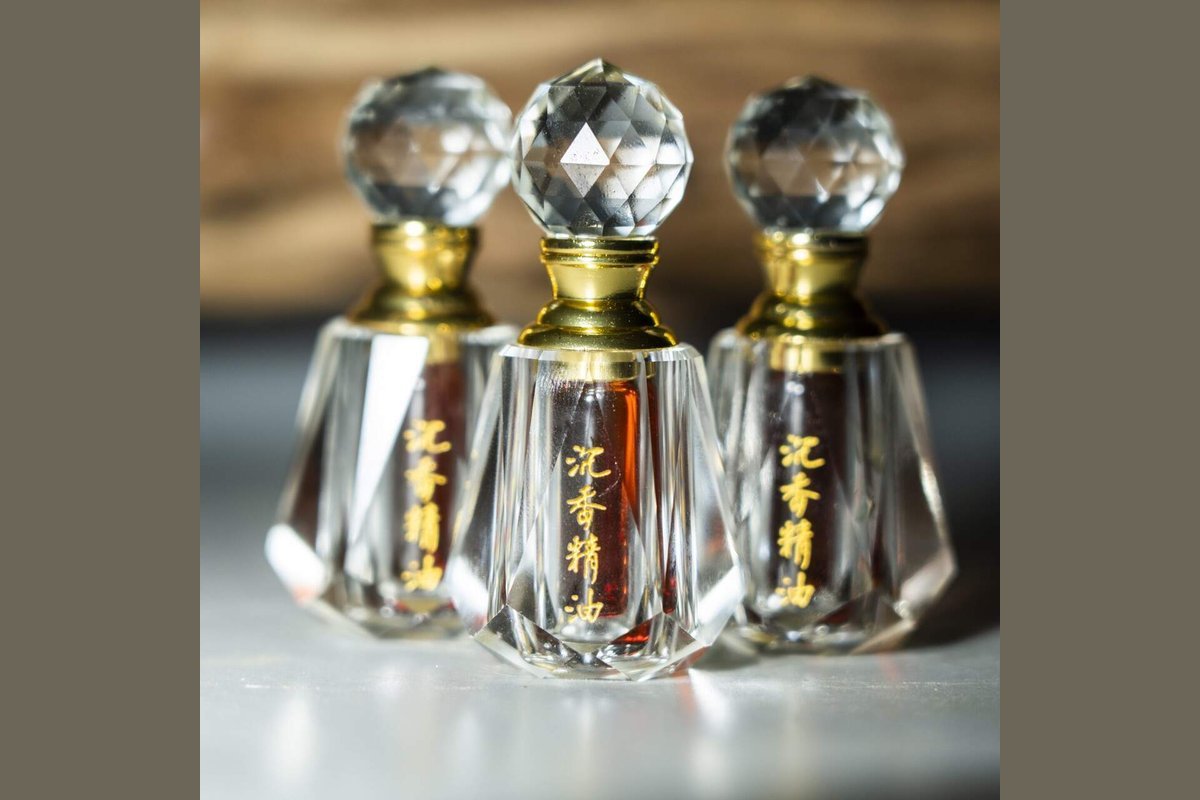 Agarwood scent at its most concentrated: a bottle of plantation oud essential oil, the form buyers usually smell first