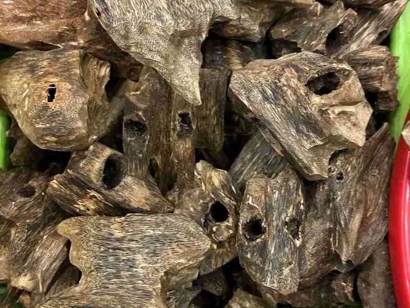Plantation gaharu chips from cultivated Aquilaria sinensis, graded for wholesale buyers