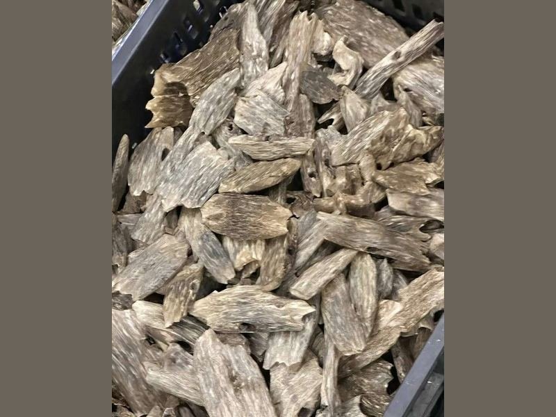 Dense, dark resinous wood of the kind sold under the Hainan agarwood name at the top of the market