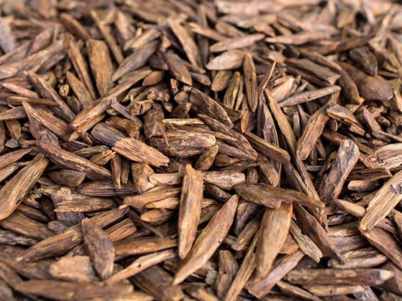 Japanese incense sticks of the koh type, the everyday form of agarwood incense in Japan