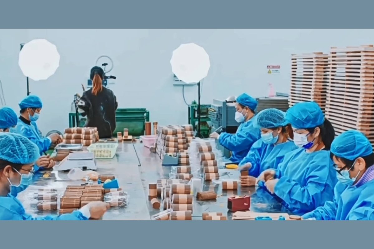 Oud wood price starts at the grading table: plantation agarwood chips sorted into D to AAA grades on a processing line