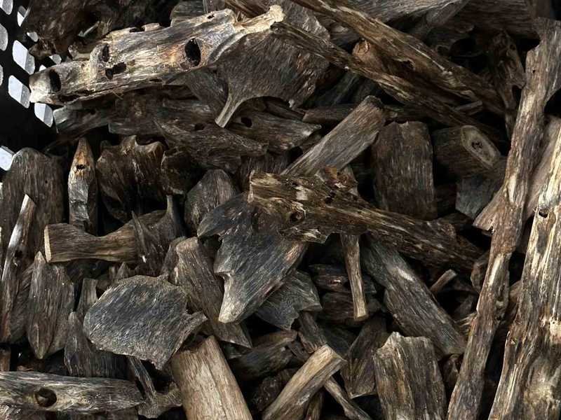 Slab-head wild agarwood piece of the old formation type traded as Vietnam agarwood