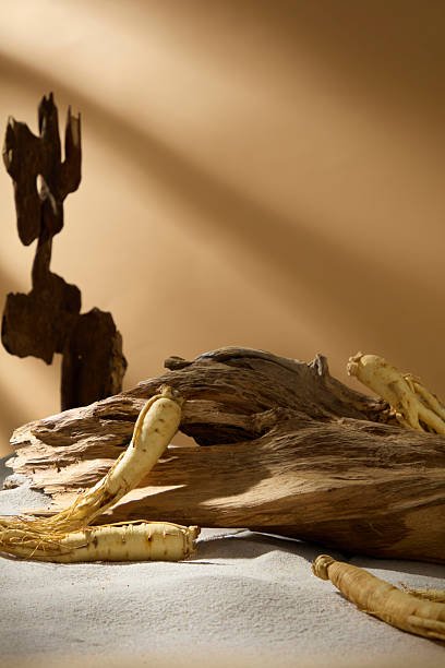 Sculptures en Bois d'Agar