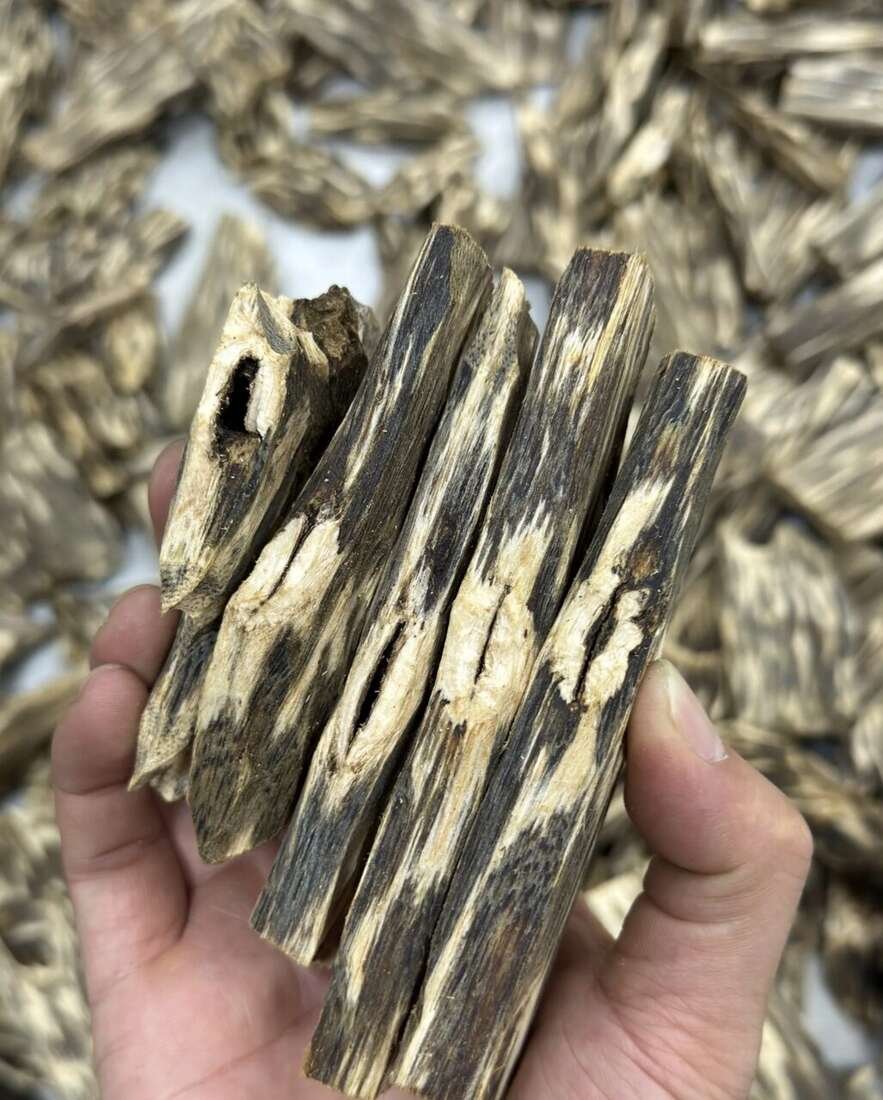 Kynam Agarwood Wood — Ultra-rare kynam agarwood wood — highest classification, exceptional resin, cool bittersweet fragrance., image 2