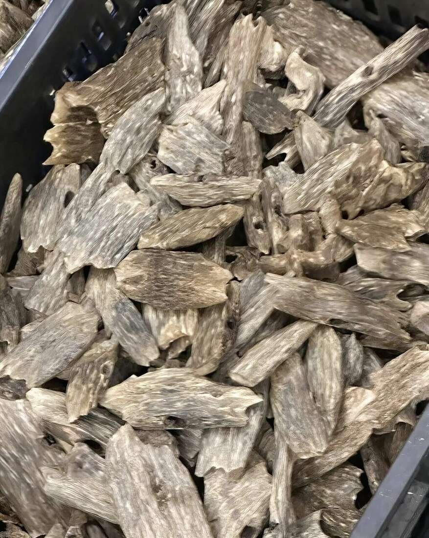 Kynam Wood — Kynam oud wood pieces — collector and investment grade, traceable plantation origin. | agarwood wholesale Guangdong China