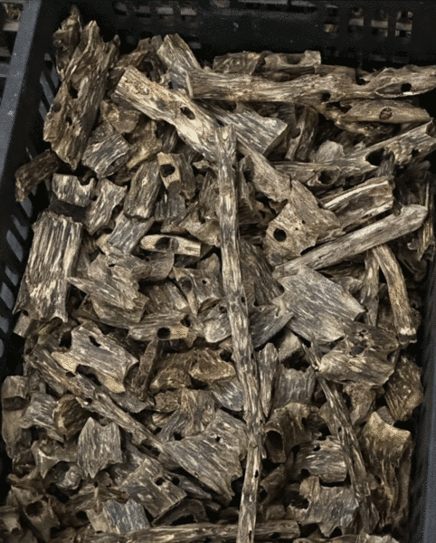 Kynam Wood — Kynam oud wood pieces — collector and investment grade, traceable plantation origin., image 3