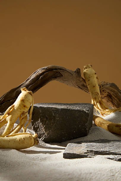 Sculptures en Bois d'Agar