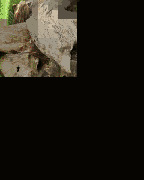 Oud Wood Chips — wholesale agarwood product image 1