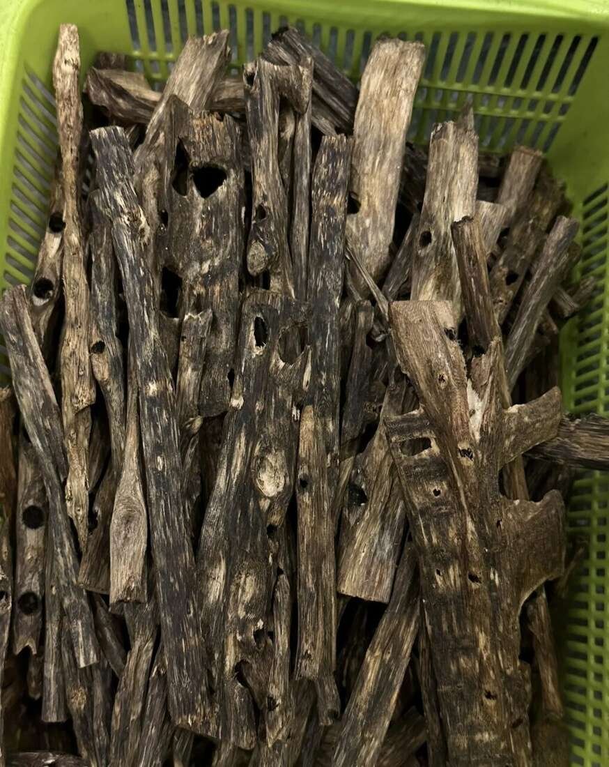 Oud Wood Chips — wholesale agarwood product image 2