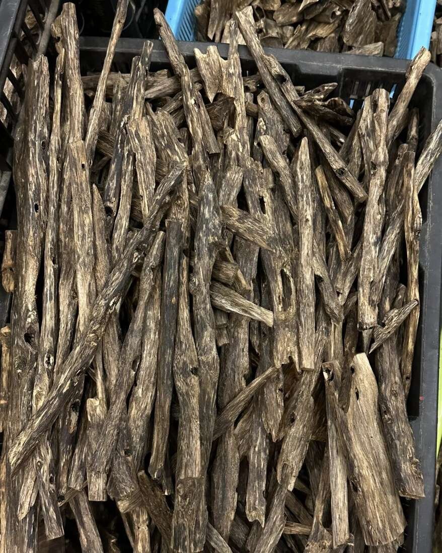 Oud Wood Chips — Grade A chips — DHL-ready — supplied in case eu-wholesale-distribution