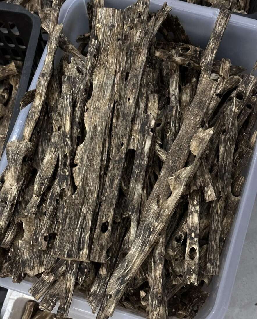 Oud Wood Chips — wholesale agarwood product image 4