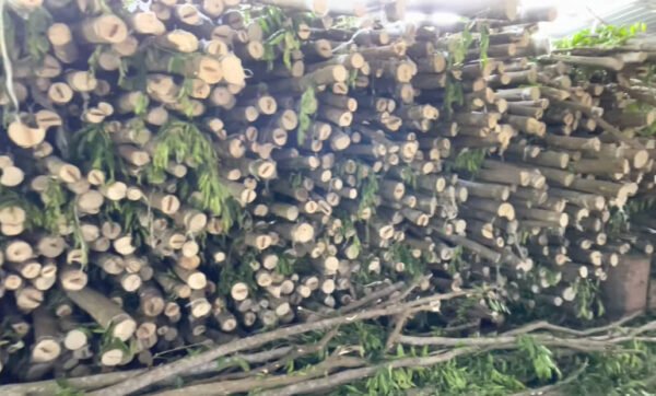 Snipaste_2026-01-06_22-37-31