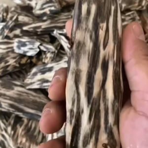 Piece of Agarwood - Image 4