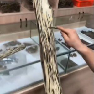 the struction of agarwood