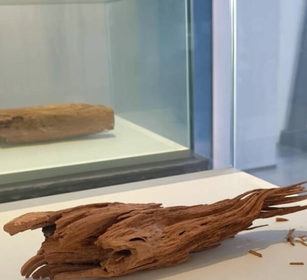 Snipaste_2026-01-18_11-18-50