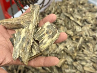 Piece of Agarwood