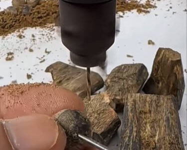 agarwood wholesalers