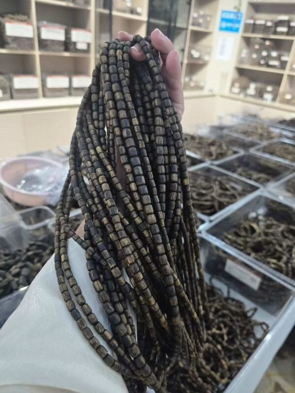 mmexport1765719622569